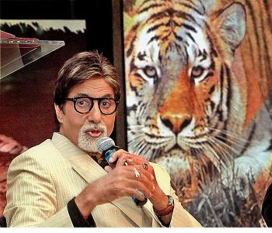 Amitabh_Bachchan_as_tiger_ambassador_niharonline
