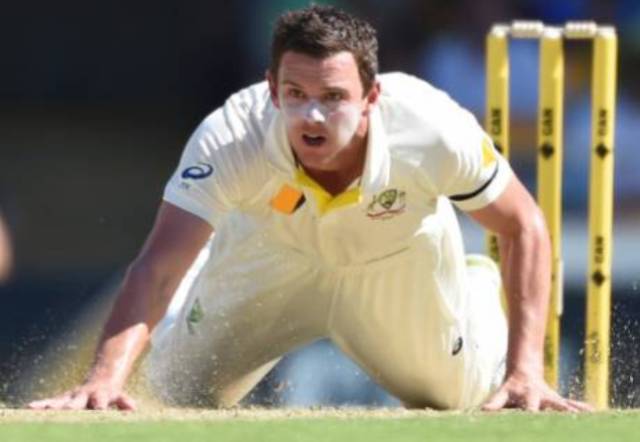 Josh-Hazlewood-abuse-third-umpire-niharonline