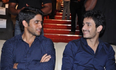 Naga_Chaitanya_guest_role_in_Akhil_movie_niharonline