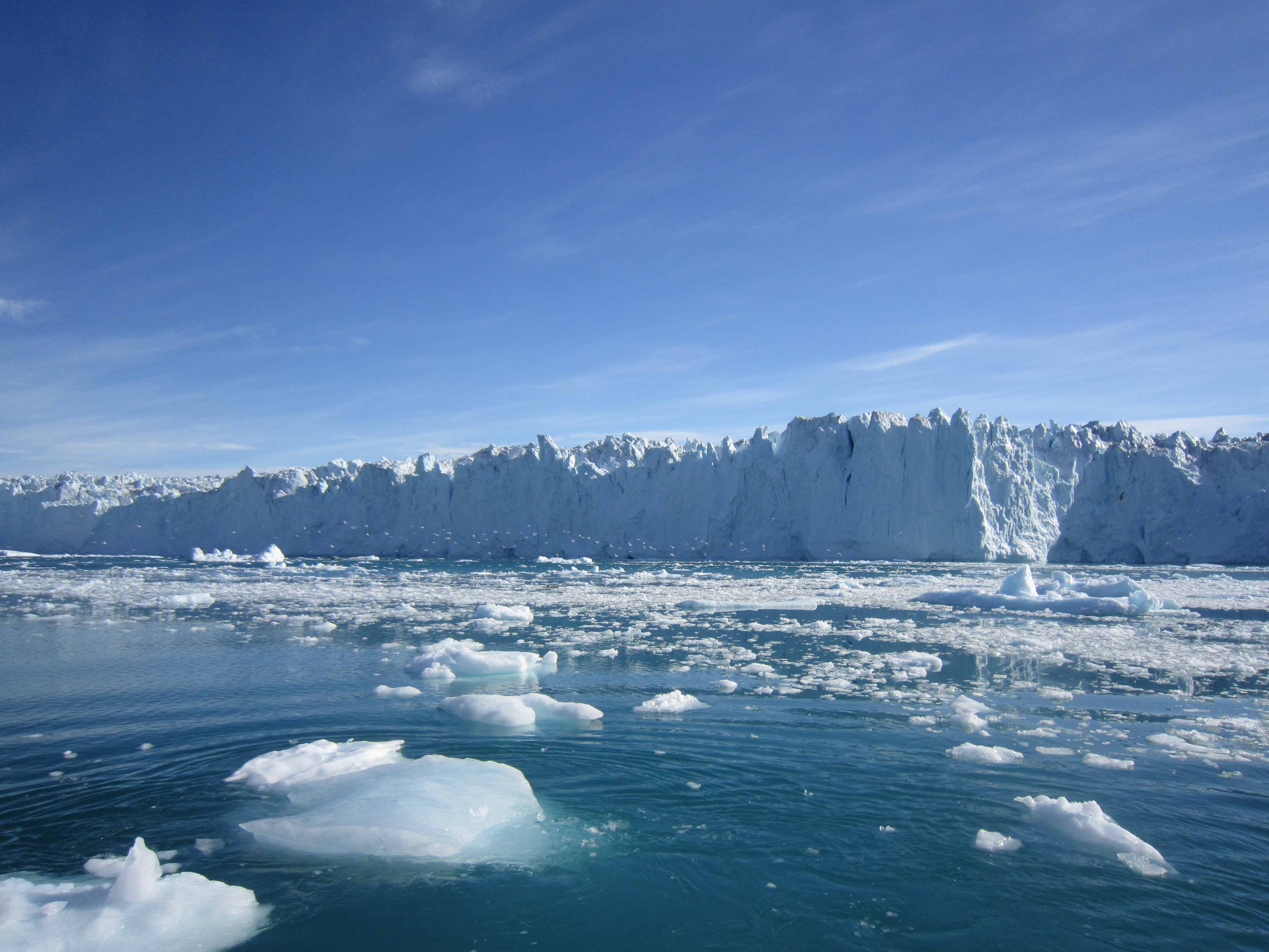 antarctica-is-gaining-ice-niharonline.jpg