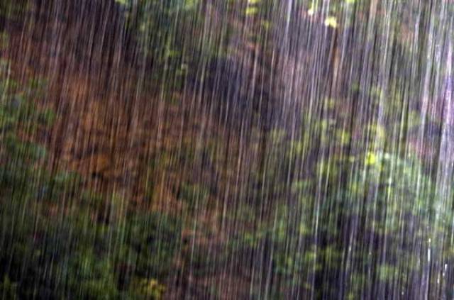 heavy-rains-in-chennai-niharonline