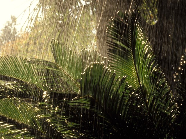 heavy-rains-in-tamilnadu-niharonline