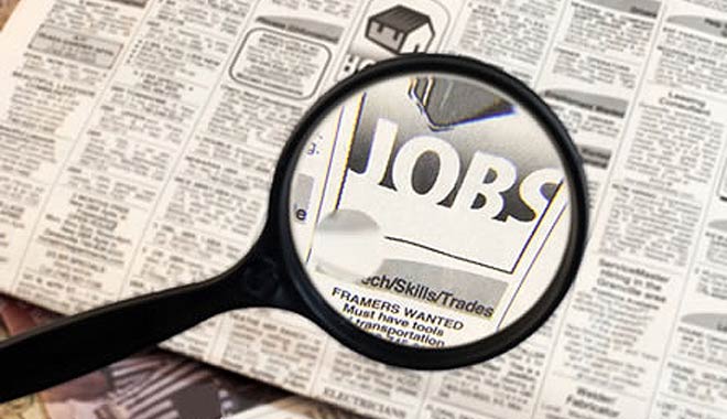 jobs-in-it-sector-niharonline